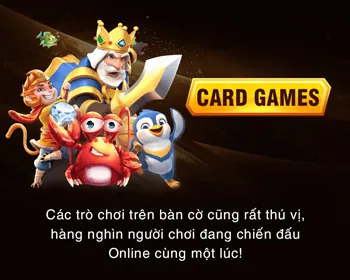 Trưởng nhóm công nghệ Happy66